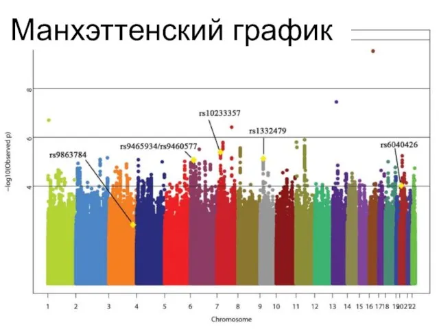 Манхэттенский график