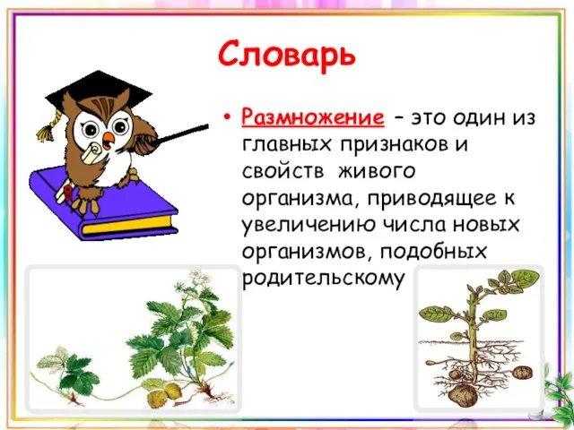 Словарь Размножение – это один из главных признаков и свойств живого организма,