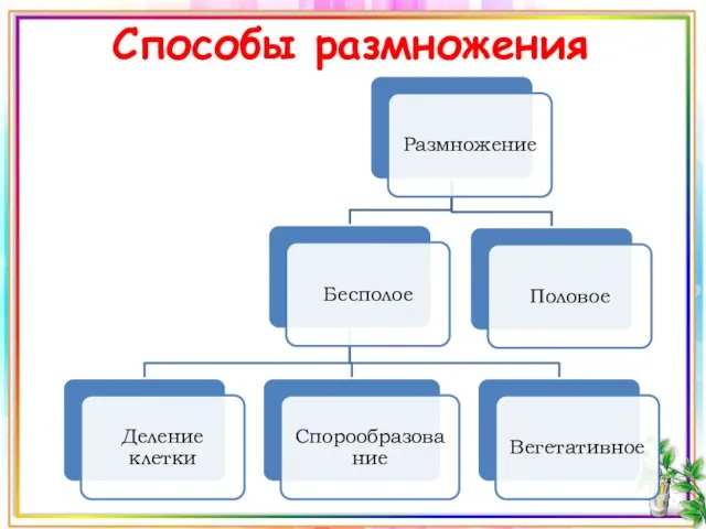 Способы размножения