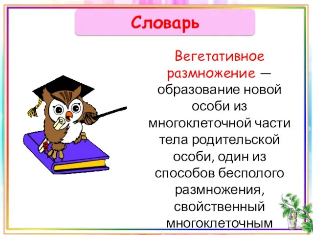 Словарь Вегетативное размножение — образование новой особи из многоклеточной части тела родительской