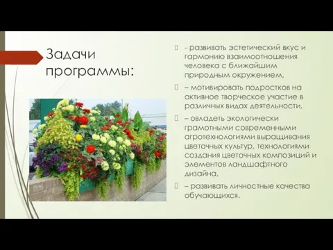 Задачи программы: – развивать эстетический вкус и гармонию взаимоотношения человека с ближайшим