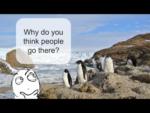 Why do you think people go there?