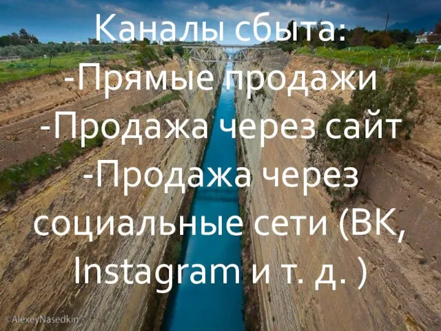 Каналы сбыта: -Прямые продажи -Продажа через сайт -Продажа через социальные сети (ВК,