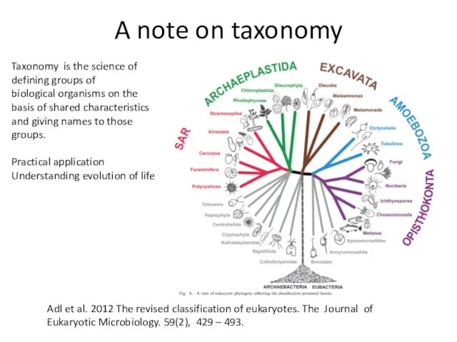 A note on taxonomy Adl et al. 2012 The revised classification of