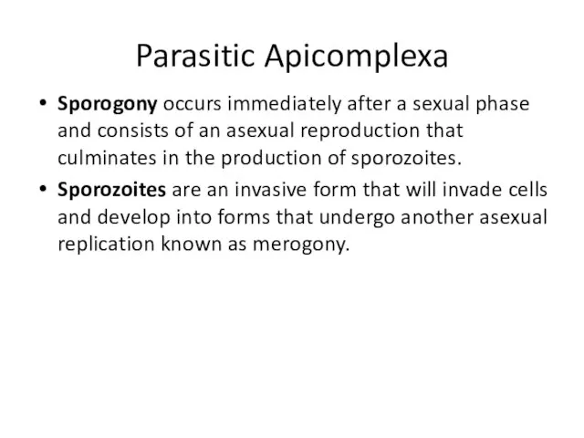 Parasitic Apicomplexa Sporogony occurs immediately after a sexual phase and consists of