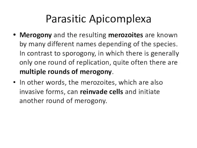 Parasitic Apicomplexa Merogony and the resulting merozoites are known by many different