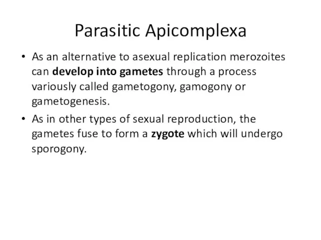 Parasitic Apicomplexa As an alternative to asexual replication merozoites can develop into