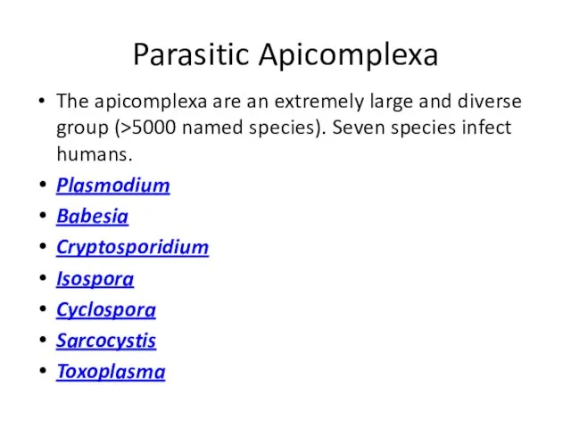 Parasitic Apicomplexa The apicomplexa are an extremely large and diverse group (>5000