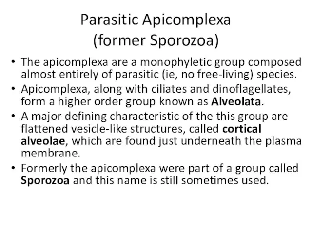 Parasitic Apicomplexa (former Sporozoa) The apicomplexa are a monophyletic group composed almost