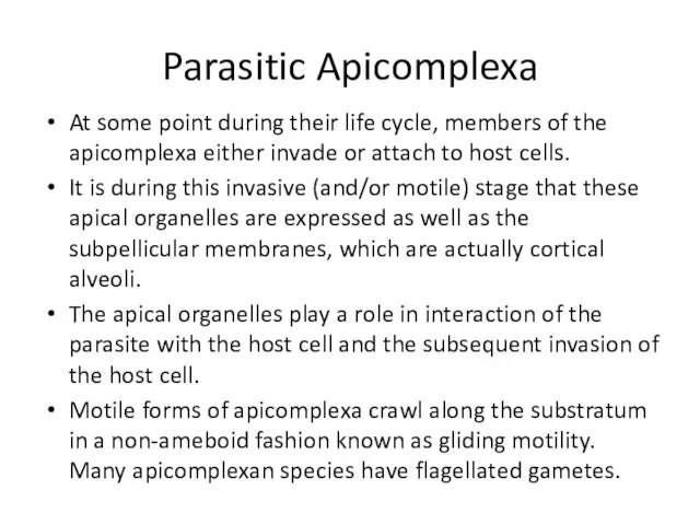 Parasitic Apicomplexa At some point during their life cycle, members of the