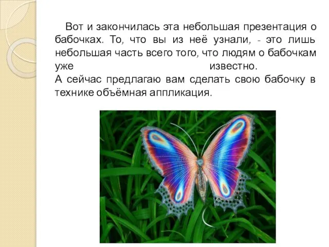 Вот и закончилась эта небольшая презентация о бабочках. То, что вы из