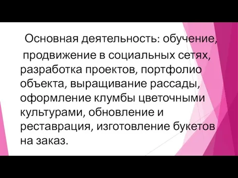 Основная деятельность: обучение, продвижение в социальных сетях, разработка проектов, портфолио объекта, выращивание