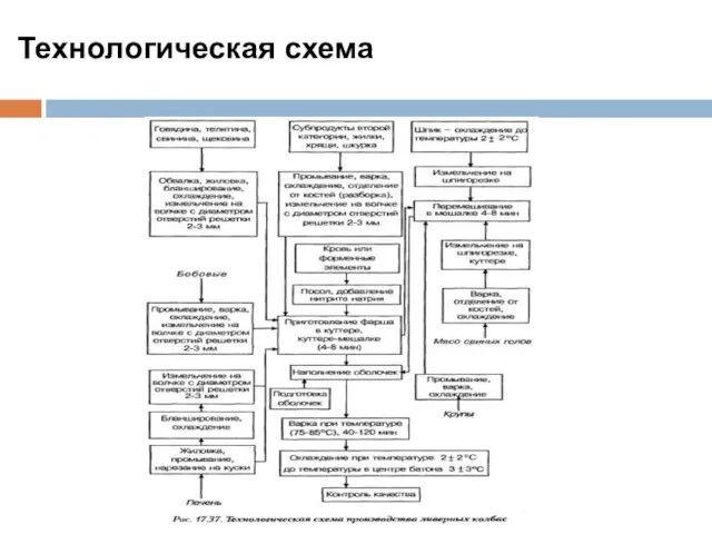 Технологическая схема