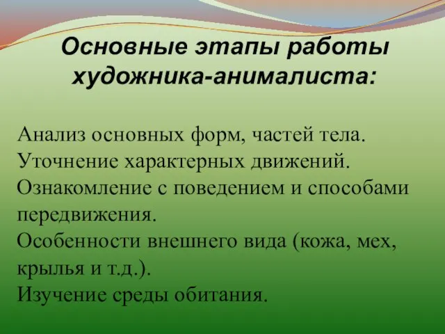 Основные этапы работы художника-анималиста: Анализ основных форм, частей тела. Уточнение характерных движений.