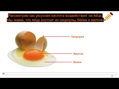 Рассмотрим как уксусная кислота воздействует на яйцо. Мы знаем, что яйцо состоит