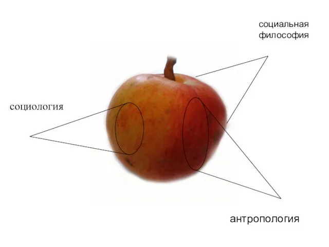 социология антропология социальная философия