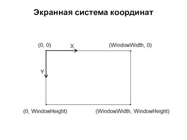 Экранная система координат