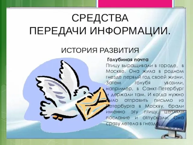 Голубиная почта Птицу выращивали в городе, в Москве. Она жила в родном