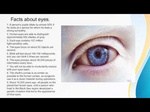 Facts about eyes. 1. A person's pupils dilate by almost 50% if