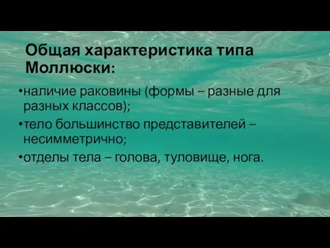 Общая характеристика типа Моллюски: наличие раковины (формы – разные для разных классов);