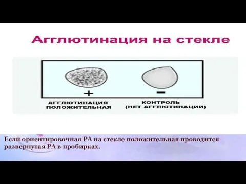 Если ориентировочная РА на стекле положительная проводится развернутая РА в пробирках.