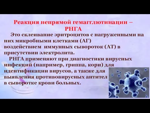 Реакция непрямой гемагглютинации – РНГА Это склеивание эритроцитов с нагруженными на них