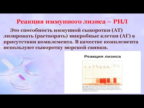 Реакция иммунного лизиса – РИЛ Это способность иммунной сыворотки (АТ) лизировать (растворять)