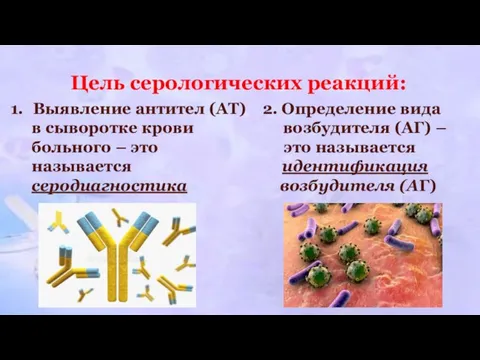 Цель серологических реакций: Выявление антител (АТ) 2. Определение вида в сыворотке крови