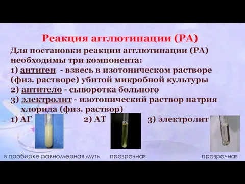 Реакция агглютинации (РА) Для постановки реакции агглютинации (РА) необходимы три компонента: 1)