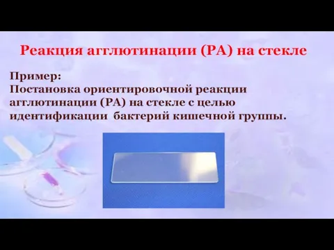 Реакция агглютинации (РА) на стекле Пример: Постановка ориентировочной реакции агглютинации (РА) на