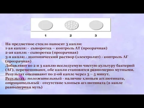 На предметное стекло наносят 3 капли: 1-ая капля: - сыворотка – контроль