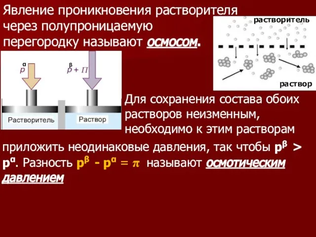 Явление проникновения растворителя через полупроницаемую перегородку называют осмосом. растворитель раствор Для сохранения