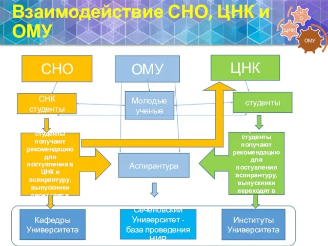 Взаимодействие СНО, ЦНК и ОМУ СНО ЦНК ОМУ СНК студенты Молодые ученые