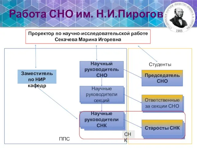 Работа СНО им. Н.И.Пирогова Проректор по научно-исследовательской работе Секачева Марина Игоревна Заместитель