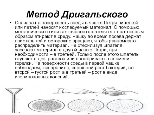 Метод Дригальского Сначала на поверхность среды в чашке Петри пипеткой или петлей