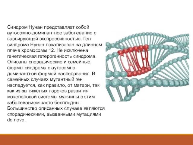 Синдром Нунан представляет собой аутосомно-доминантное заболевание с варьирующей экспрессивностью. Ген синдрома Нунан