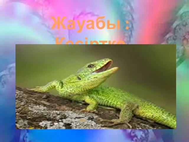 Жауабы : Кесіртке