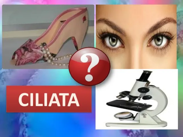 CILIATA