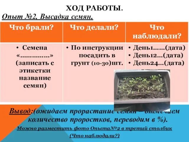 ХОД РАБОТЫ. Опыт №2. Высадка семян. Вывод:(ожидаем прорастание семян – отмечаем количество