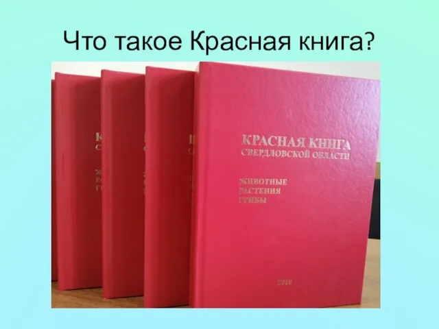 Что такое Красная книга?