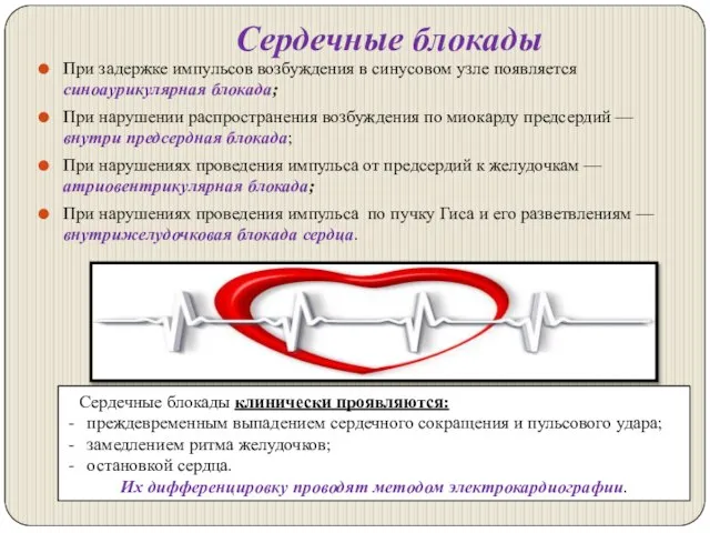 Сердечные блокады При задержке импульсов возбуждения в синусовом узле появляется синоаурикулярная блокада;