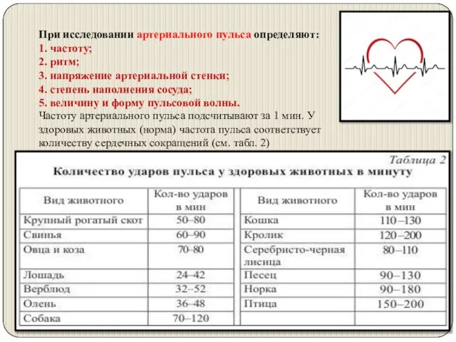 При исследовании артериального пульса определяют: 1. частоту; 2. ритм; 3. напряжение артериальной