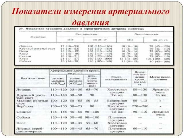 Показатели измерения артериального давления