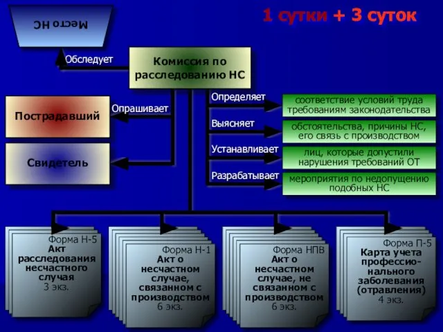 Разрабатывает 1 сутки + 3 суток Пострадавший Свидетель Место НС Комиссия по