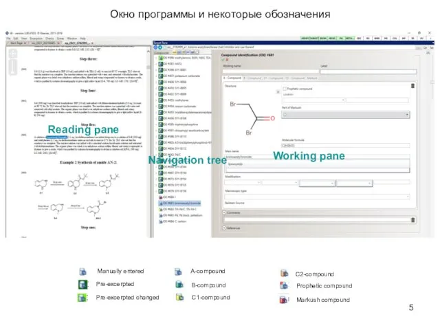 Pre-excerpted Pre-excerpted changed Manually entered Окно программы и некоторые обозначения Prophetic compound