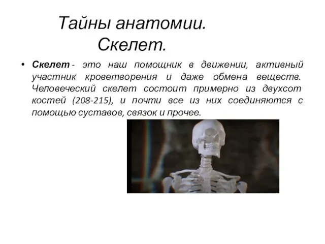 Тайны анатомии. Скелет. Скелет - это наш помощник в движении, активный участник