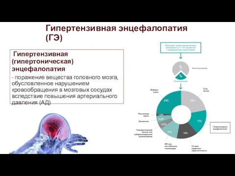 Гипертензивная (гипертоническая) энцефалопатия - поражение вещества головного мозга, обусловленное нарушением кровообращения в