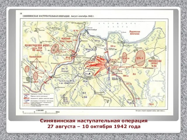 Синявинская наступательная операция 27 августа – 10 октября 1942 года