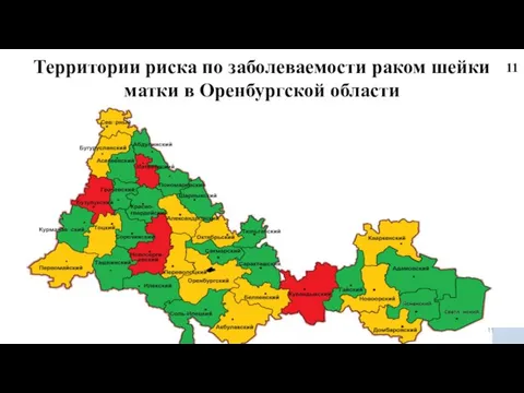 Территории риска по заболеваемости раком шейки матки в Оренбургской области 11