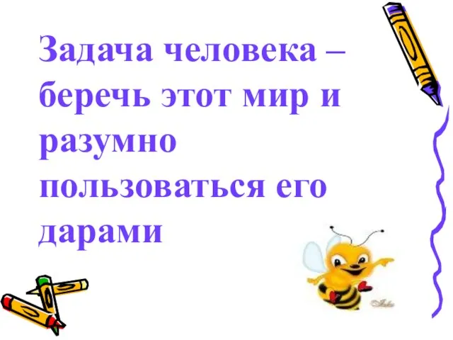 Задача человека – беречь этот мир и разумно пользоваться его дарами